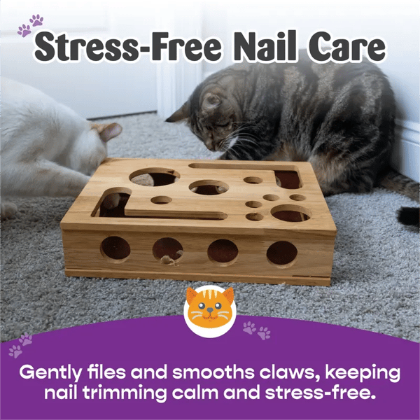The Polished Claws Box